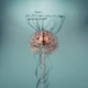 Illustration for article titled 7 Mind-Blowing Artifacts That Reveal the Strange Beauty of Brains